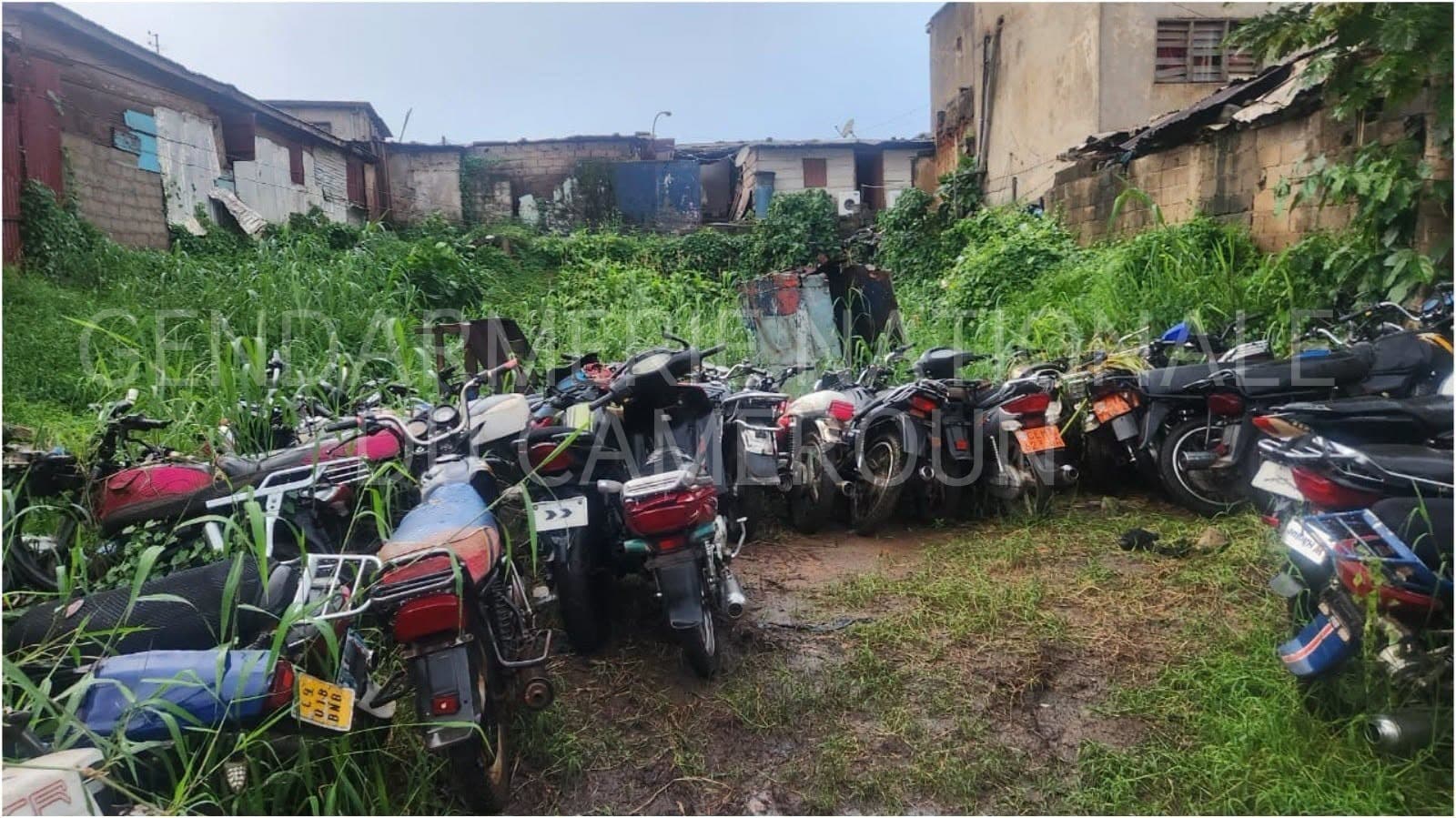 Yaoundé : 36 motos volées retrouvées par la gendarmerie dans une opération coup de poing